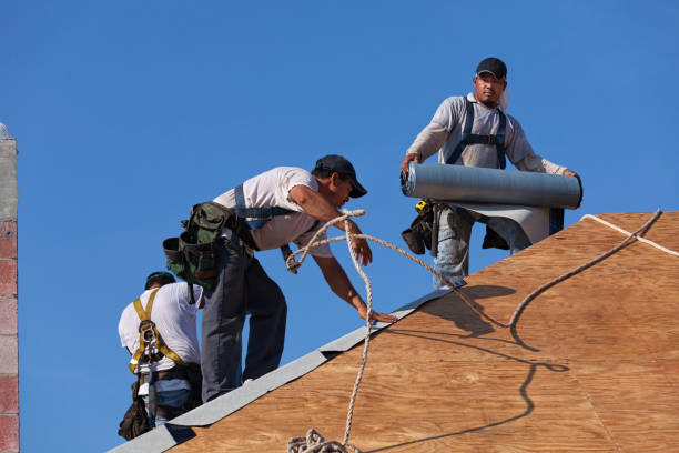 Best Shingle Roofing Installation  in Magnolia, MS