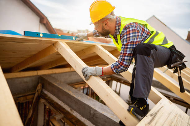 Best Roof Gutter Cleaning  in Magnolia, MS